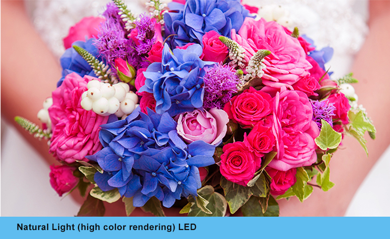 Natural-light (high color rendering) LED