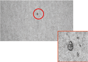 Imaging example of tracing paper using LB-300X150B