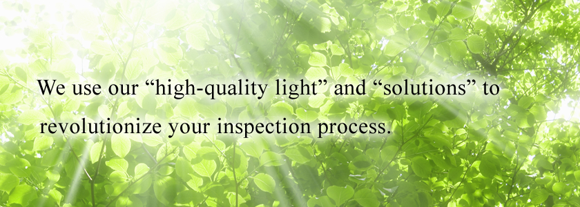 We use our high-quality light and solutions to revolutionize your inspection process