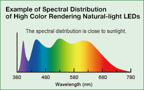 Example of Spectral Distribution of High Color Rendering Natural-light LEDs