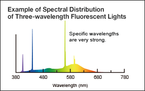 xample of Spectral Distribution of Three-wavelength Fluorescent Lights