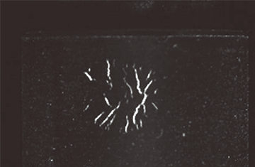 Examples of Magnetic Particle Inspection Images Taken with a Black-and-White Camera