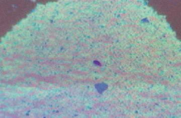 Imaging with LDL-222X42CIR