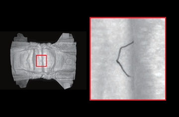 Imaging with TH2-300X300SW-CR35
