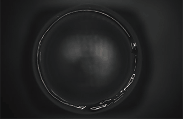 LED visible light