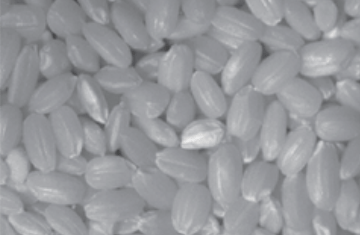 Imaging with LED visible lighting