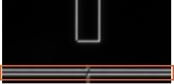 Differential Interference Contrast Unit Images: The boundary of the step is clearly visible