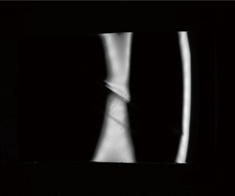 HPR2-DV Series segmented ring lights Texture image: After Image Processing