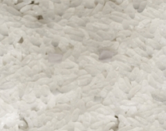 Workpiece:Inspection of foreign materials in white rice