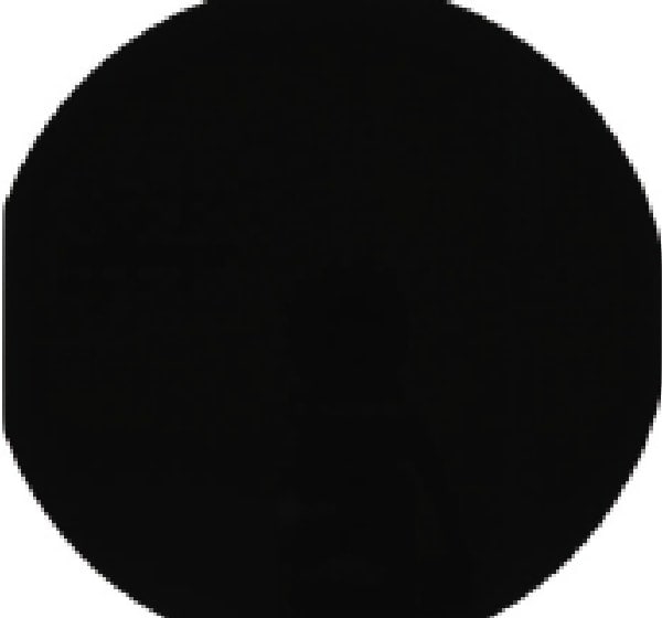 Infrared transmitted light observation (1,200 nm)