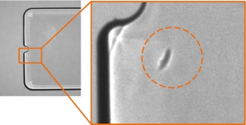 High-output LED light source (PFBR-150 Series) + low-magnification telecentric lens
